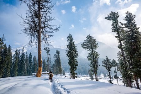 SRINAGAR | GULMARG | SONMARG | PAHALGAM