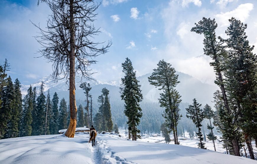 Exclusive Winter Group Tour to Kashmir – 6 Nights, 7 Days for 16 People