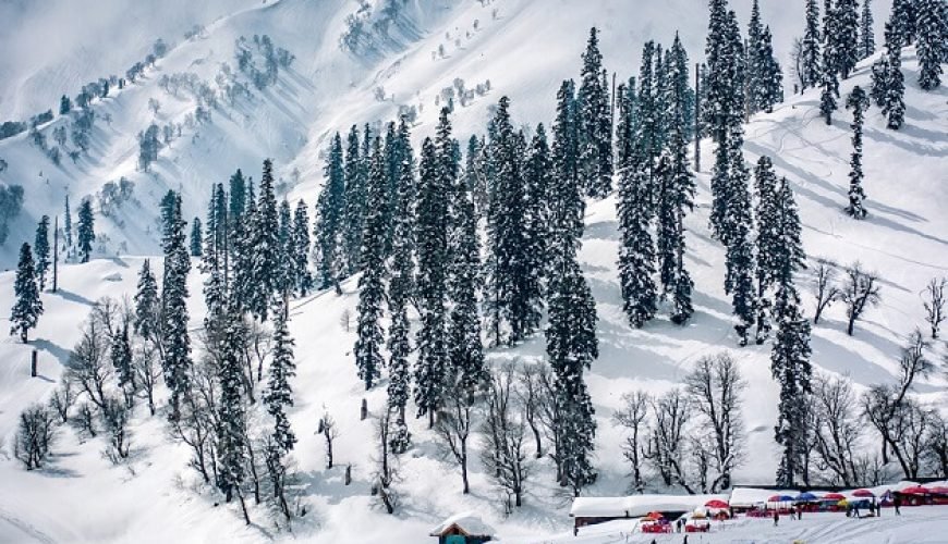 Best Tour and Travel Agency in Kashmir