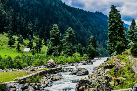 Kashmir Delight: 6 Nights 7 Days Tour with Houseboat Stay & SUV”